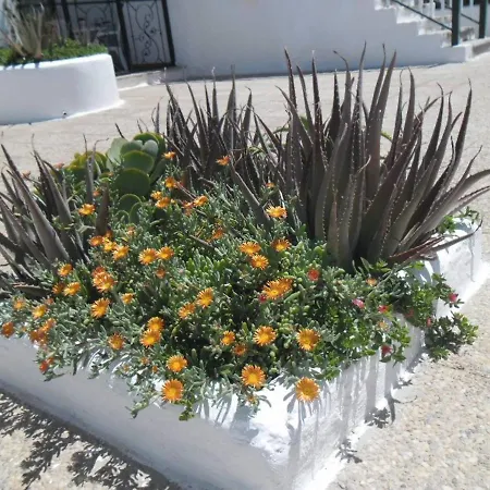 Lanzarotesuites Apartmán